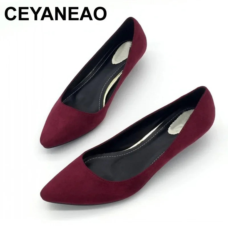 CEYANEAO Sexy Women Low Heel Pumps Slip On Spring Autumn