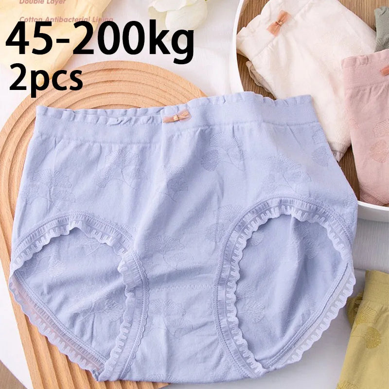 2 Pack Lace Wavy Trim Panties Womens Comfort Underwear