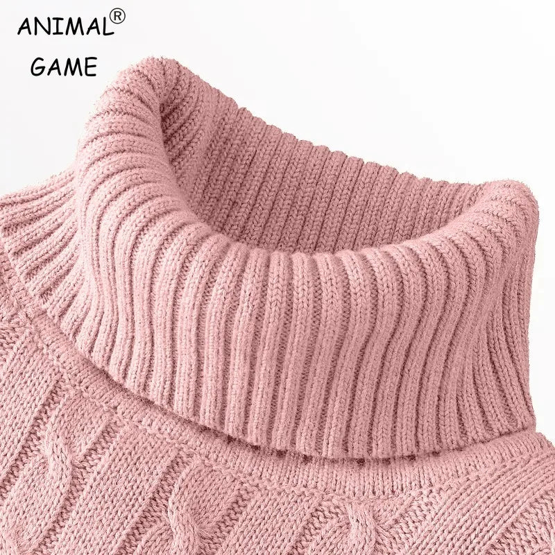 Autumn Mens Long Sleeve Knitted Sweater Slim Fit Turtleneck