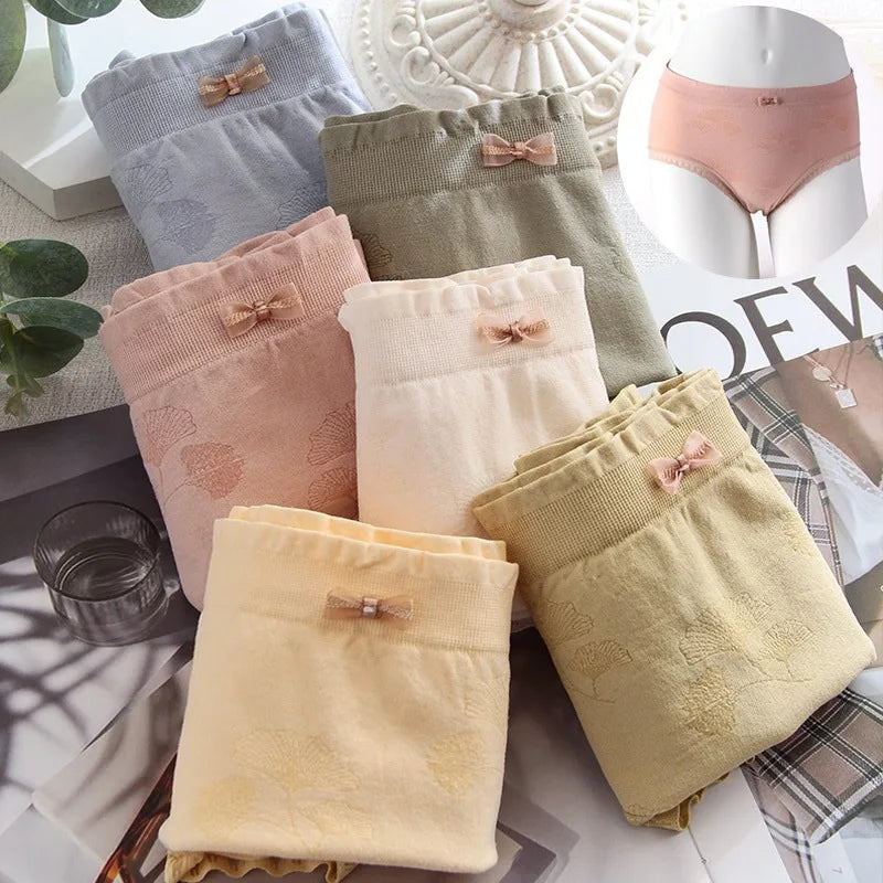 2 Pack Lace Wavy Trim Panties Womens Comfort Underwear